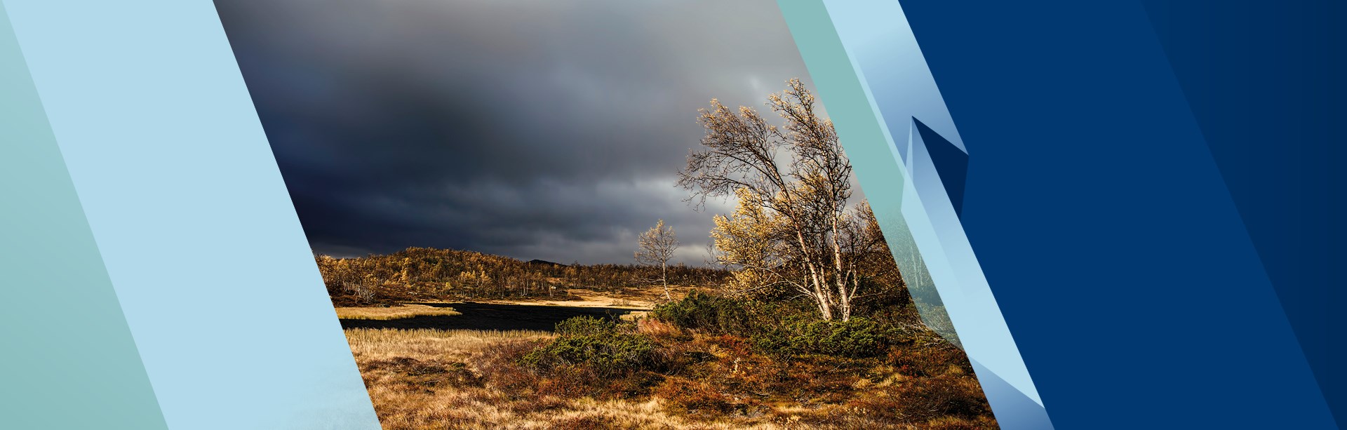 Läs mer om M Sveriges arbete för miljön