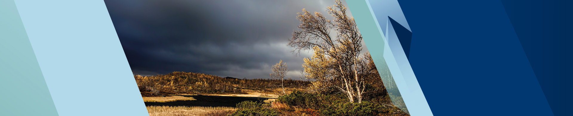 Läs mer om M Sveriges arbete för miljön