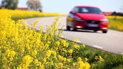 Bilen och miljön 