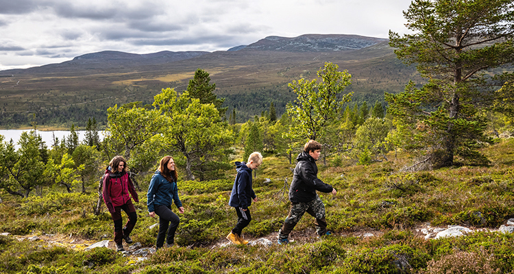 Parkera och fortsätt till fots upp i de vackra fjällen i Dalarna.
