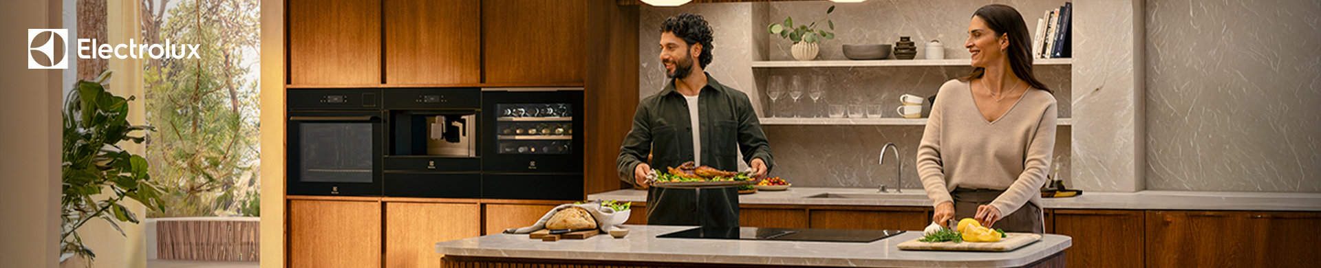Electrolux Banner
