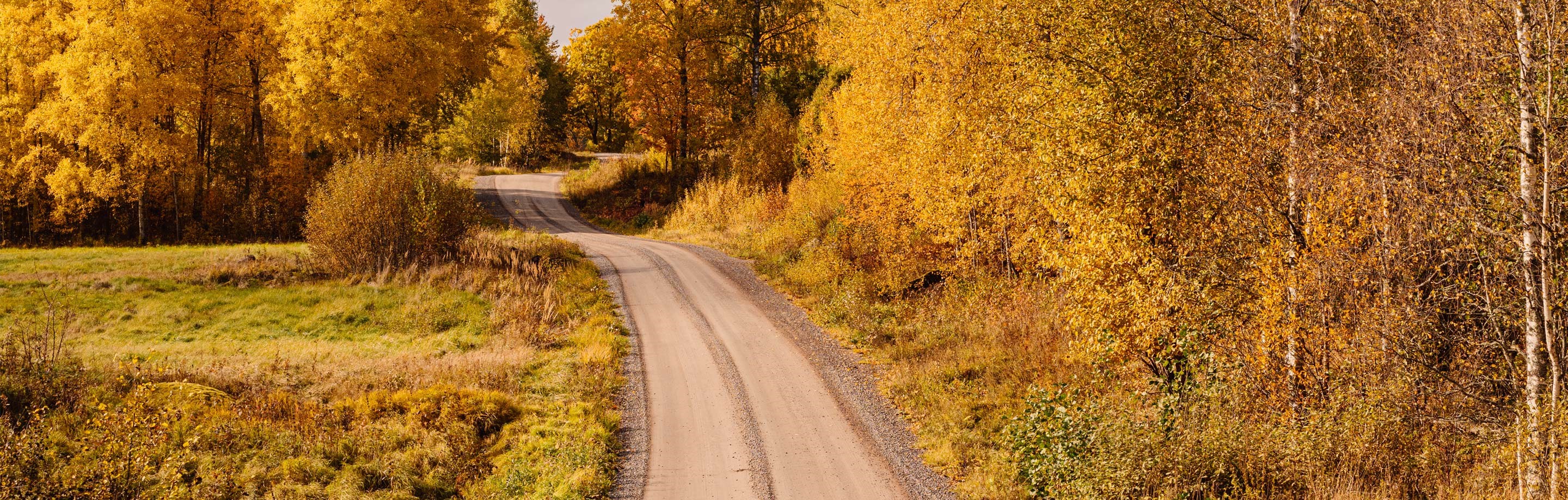 M Sverige undersöker vägkvalitet med Roadroid 