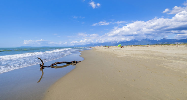 La Lecciona, fristranden i Viareggio