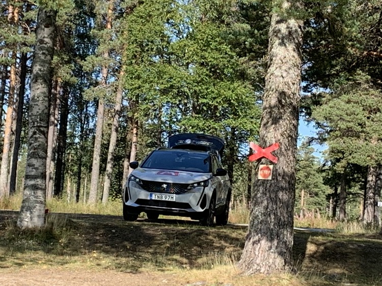 PÅ bilden ses paus vid en scooterled
