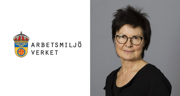 Agneta Axelsson, Arbetsmiljöverket